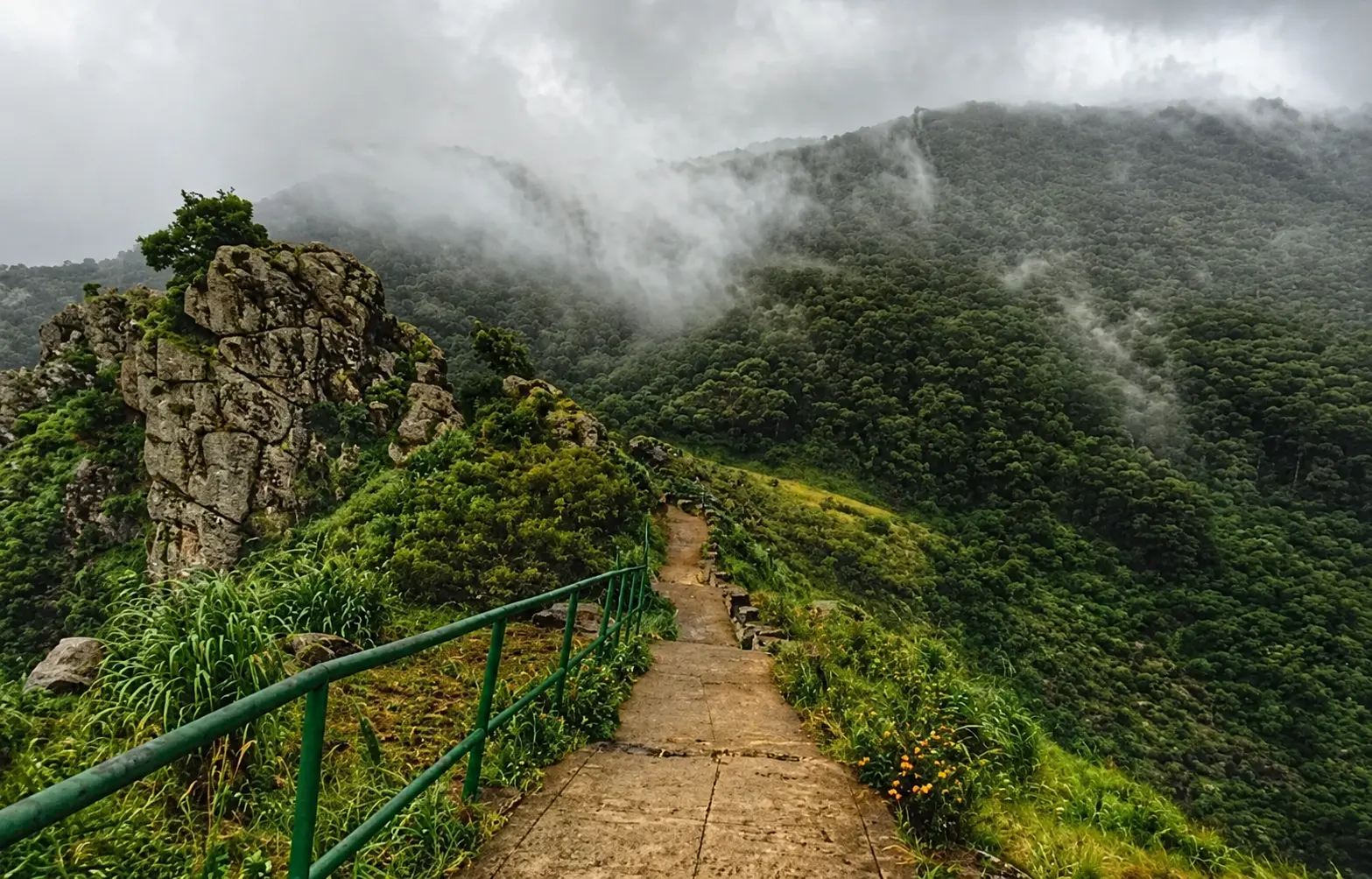 A green hillside path disappearing into low cloud in the Nilgiris