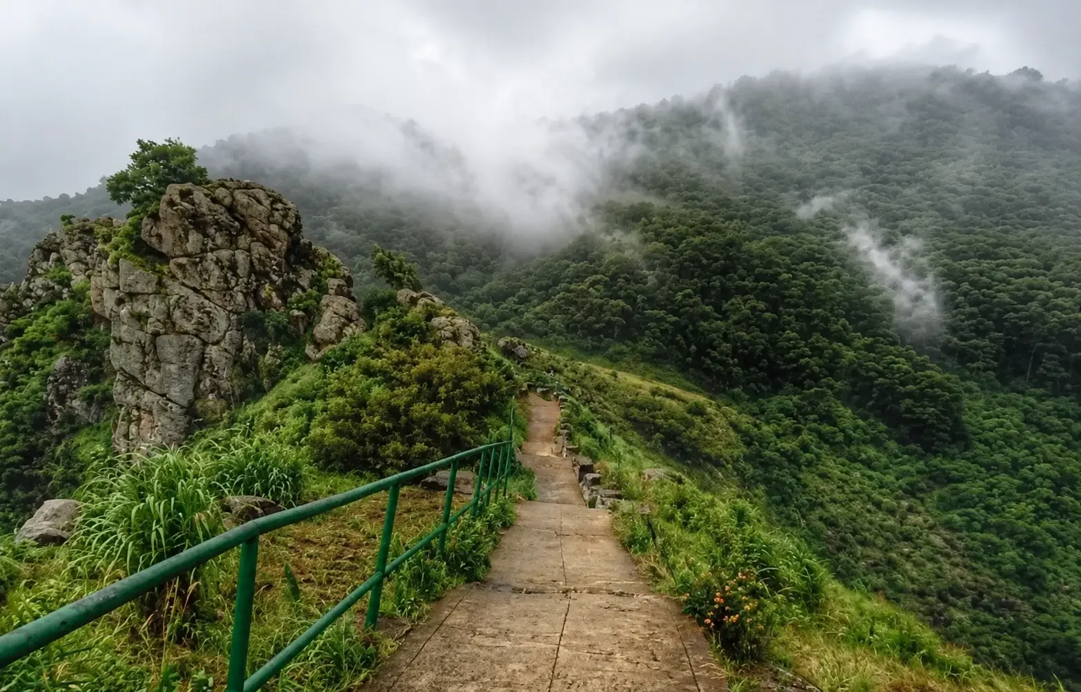 A walking path along a green hillside in the Nilgiris