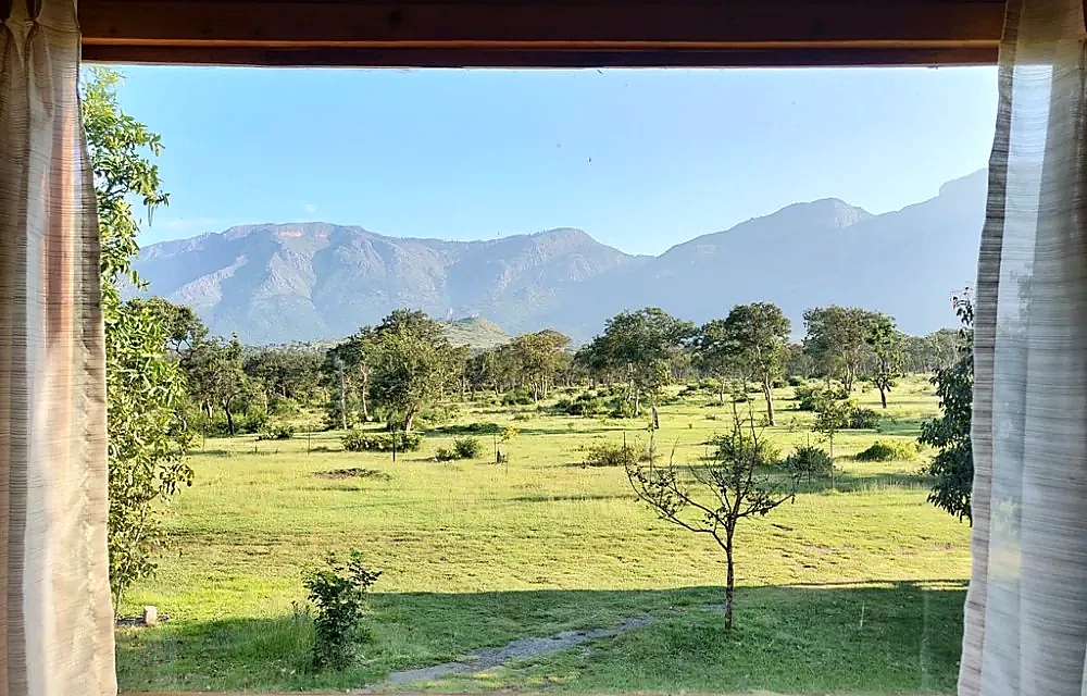 Morning light over grassland and the Nilgiri range near Masinagudi