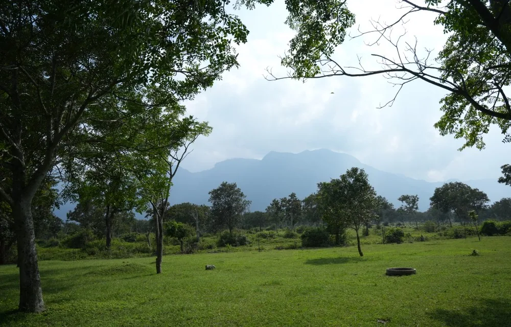 Cloud sitting low on the ridges above Masinagudi