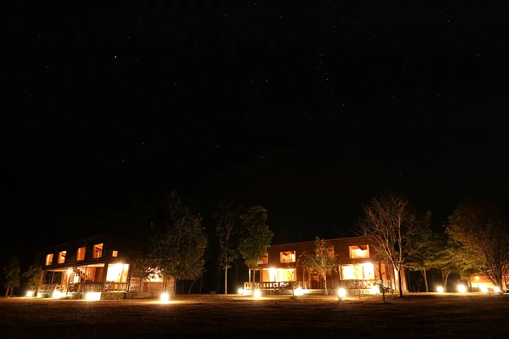 Timber cottages at Labdhi Resorts lit up under a starry night sky