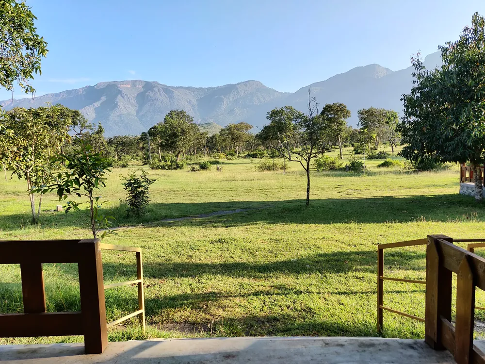 View of the Nilgiri hills and open grassland from the veranda of the Superior King Room with Loft at Labdhi Resorts
