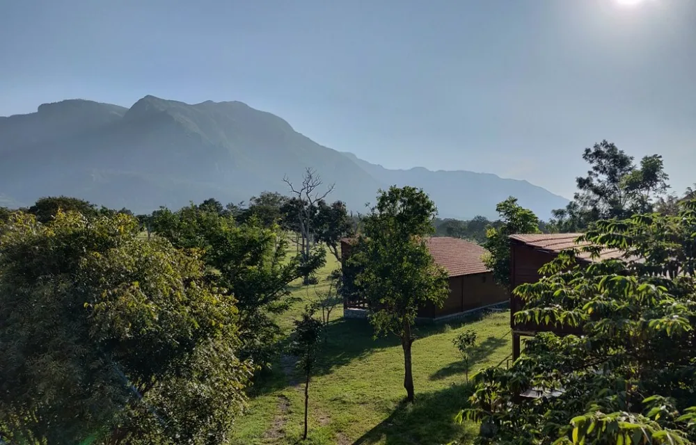 Grassland running up to the wooded ridges near Mudumalai